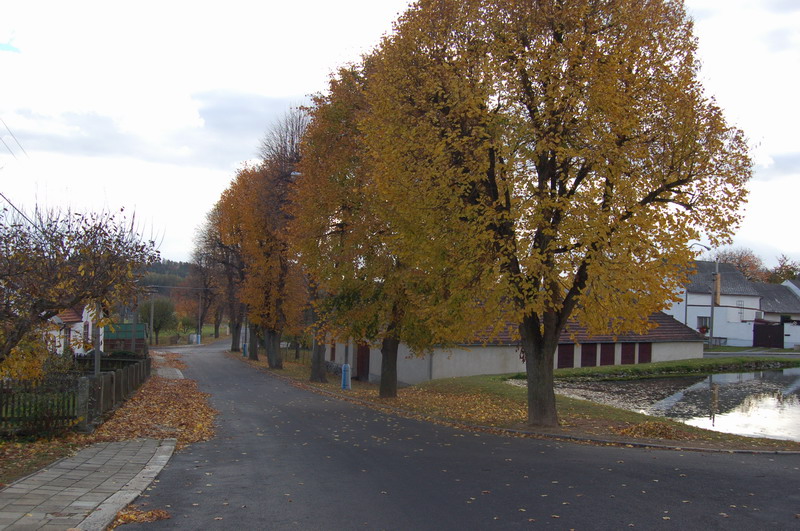 DSC 0043