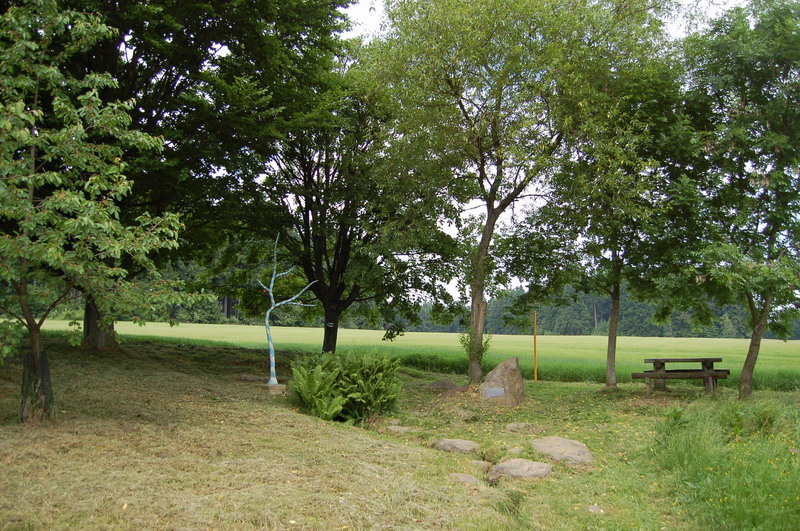 DSC 0070